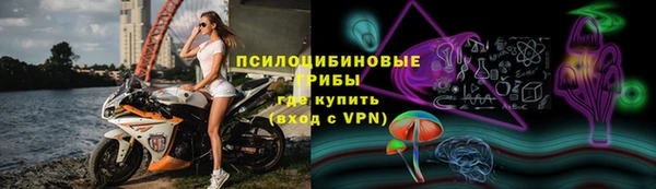 МДМА Богородицк