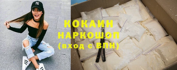 соль ск Белокуриха