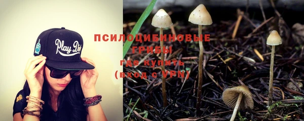 ешки Богданович