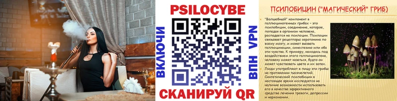 Псилоцибиновые грибы мицелий  OMG зеркало  darknet как зайти  Буй 